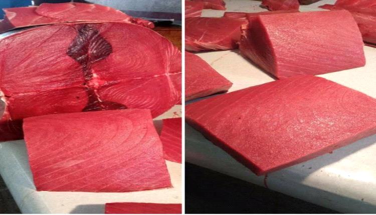 ارتفاع جنوني لأسعار الأسماك في العاصمة عدن اليوم الأحد 1 يونيو