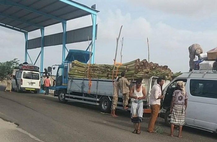  : نقطة دوفس بأبين تحبط دخول كمية من الحشيش إلى العاصمة عدن