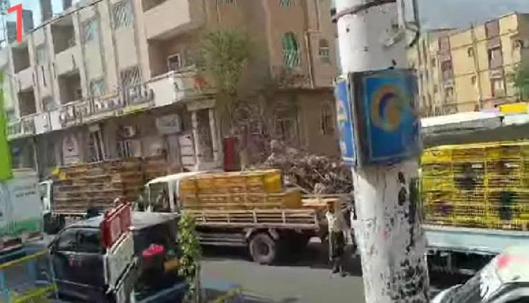 سائقو شاحنات الدواجن يثورون في تعز.. مظاهرة غاضبة ضد الجبايات وابتزاز النقاط الأمنية