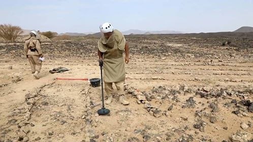  : الجيش يفكك حقل من الألغام في الحديدة