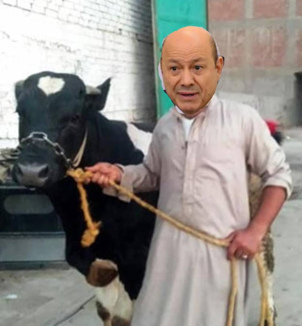 رشاد العليمي: المعايير الصحية أولاً، والمواشي لاحقًا!